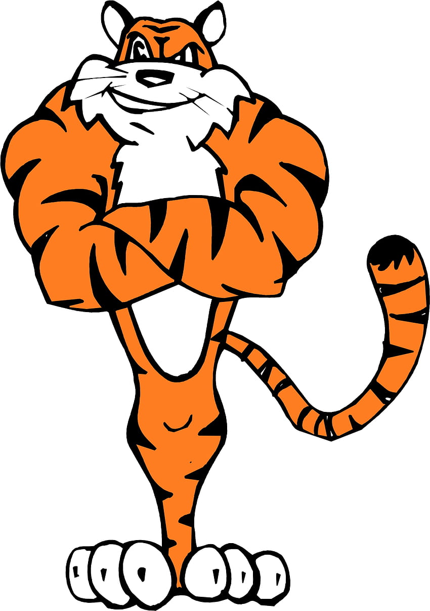 Cartoon Of Tigers, Cartoon Of Tigers png , ClipArts on Clipart Library, tiger  cartoon HD phone wallpaper | Pxfuel