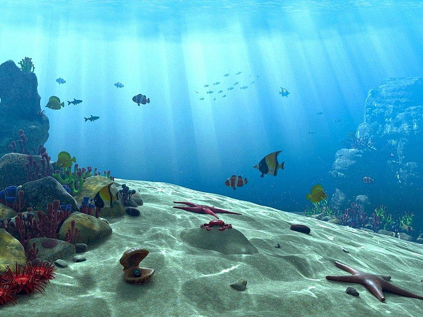 Ocean Scenes [1024x768] for your HD wallpaper