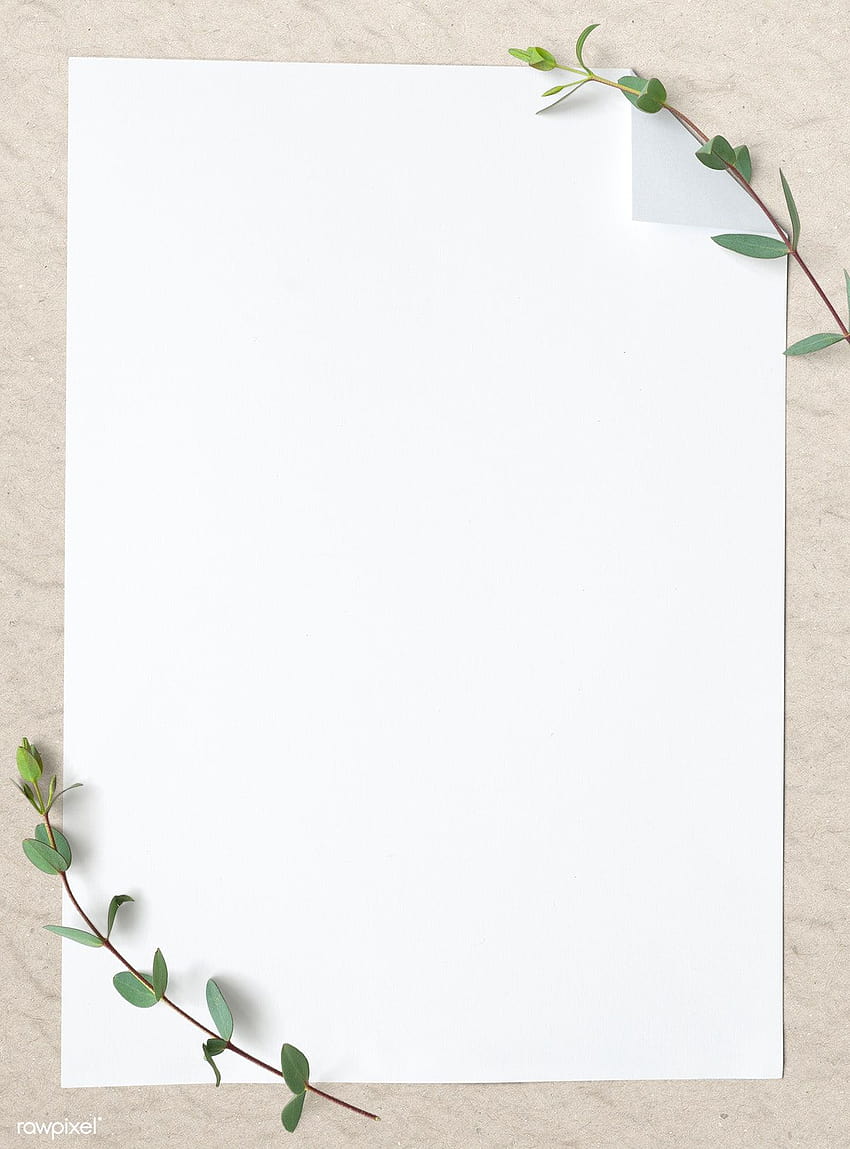 Modèle de papier blanc ordinaire vierge, blanc vierge Fond d'écran de téléphone HD