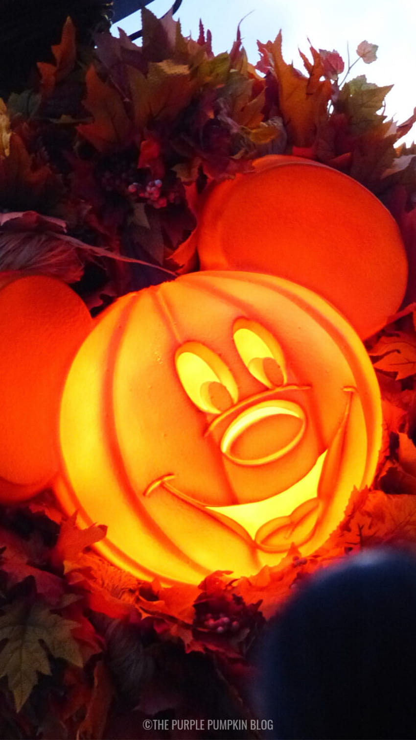 Disney Halloween Pumpkins Phone, halloween pumpkin head HD phone wallpaper