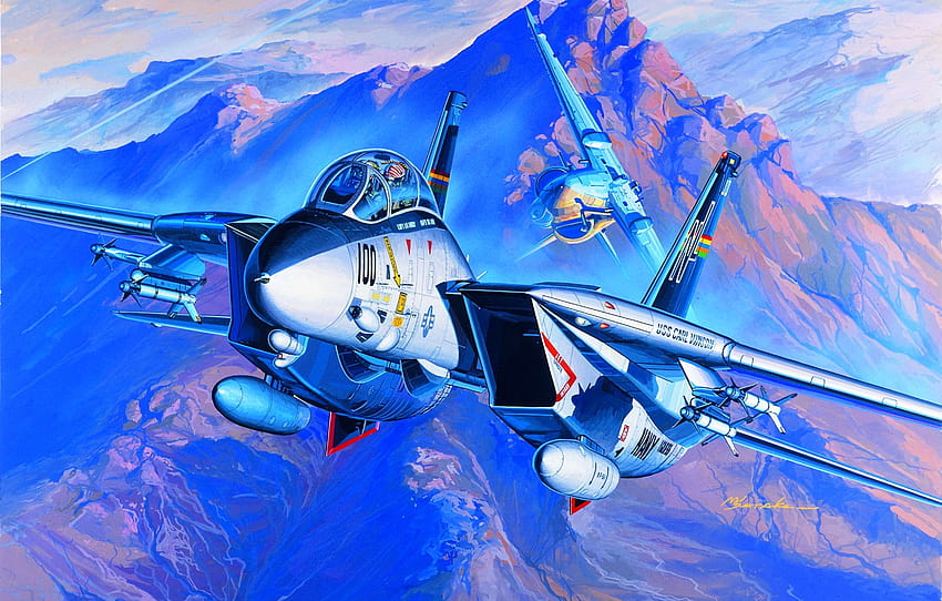 HD wallpaper Jet Fighters Grumman F14 Tomcat  Wallpaper Flare