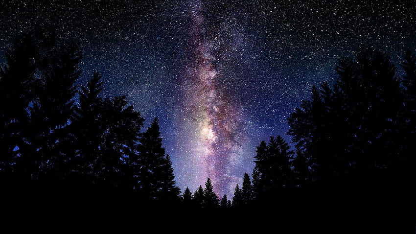 Groupe de ciel nocturne, étoiles Fond d'écran HD