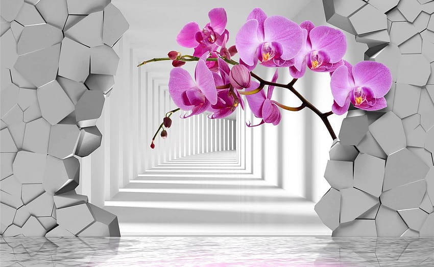 3D, The violet orchid against the backgrounds of a, orchid tunnel HD wallpaper