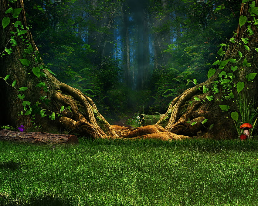 el bosque encantado fondo de pantalla