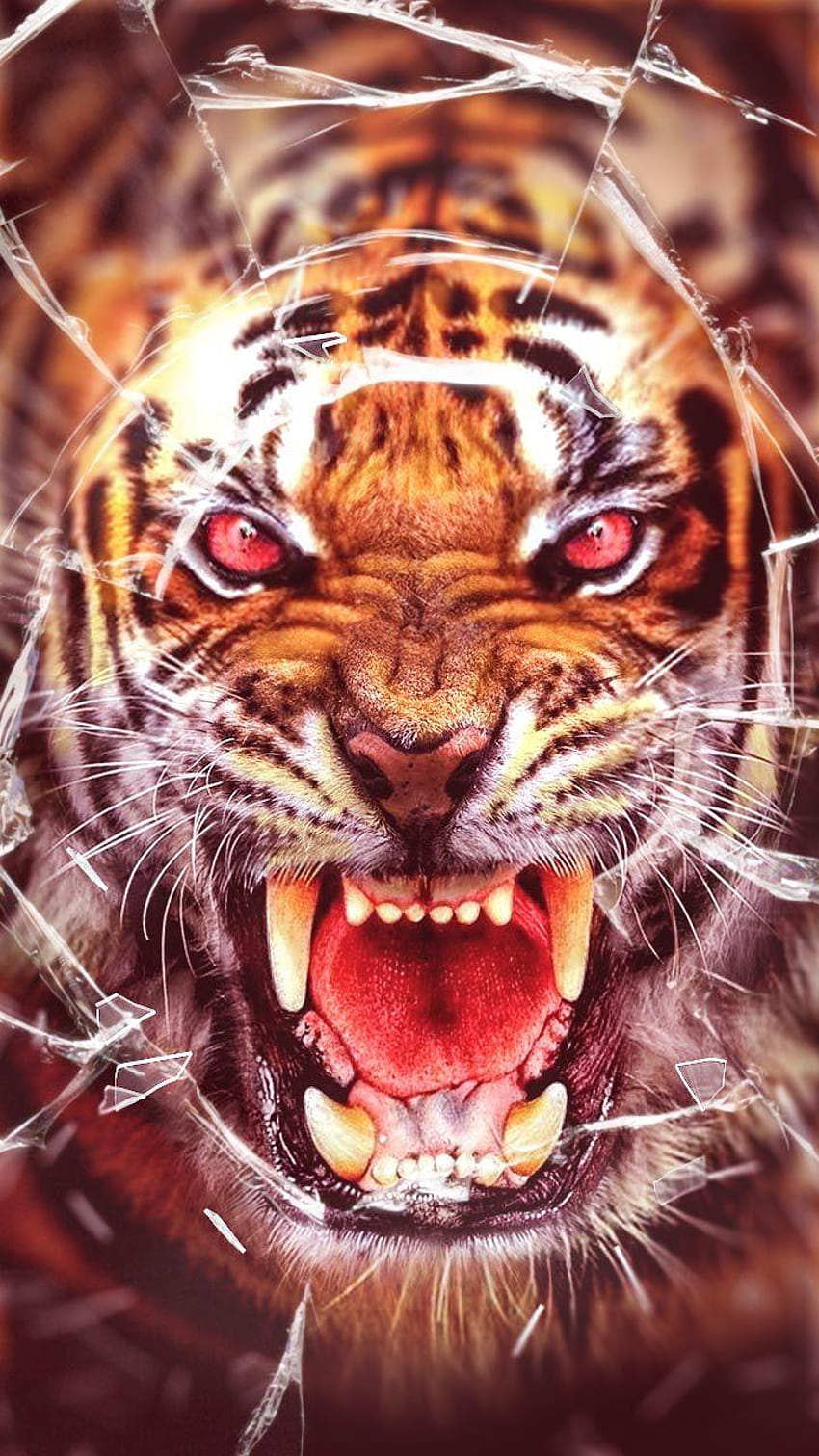 Tigre gritando con efecto de vidrio roto. Ojos sangrientos y tigre dientes de sable fondo de pantalla del teléfono