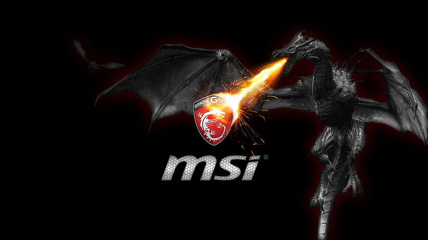 2560x1440 MSI 1440P Resolution , Backgrounds, and HD wallpaper