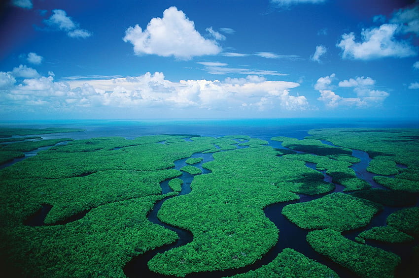 Everglades National Park h427284 Earth [1600x1064] for your , Mobile & Tablet, the everglades HD wallpaper