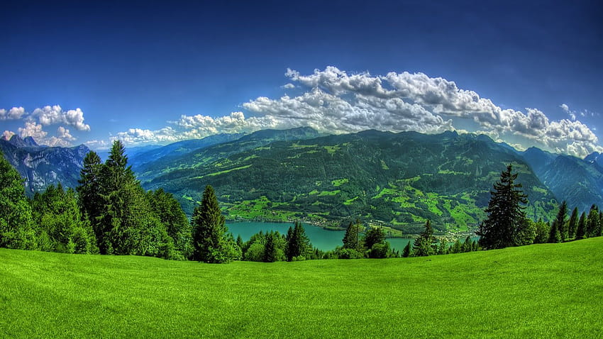 Lush Green Grass Mountains Full Nature High Res pour, champs avec montagne Fond d'écran HD