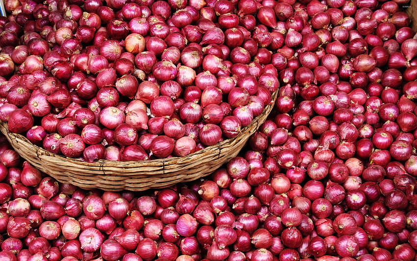 Red onions, shallot HD wallpaper