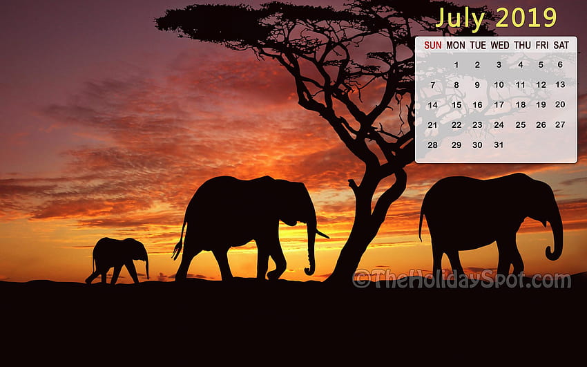 Month wise Calendar of 2018, july 2019 calendar HD wallpaper | Pxfuel