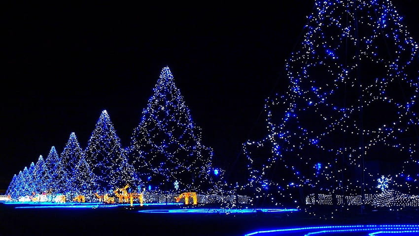 1920x1080 Winter: Trees Snow Christmas Winter Japan Lights Tree Night ..., japanese christmas HD wallpaper
