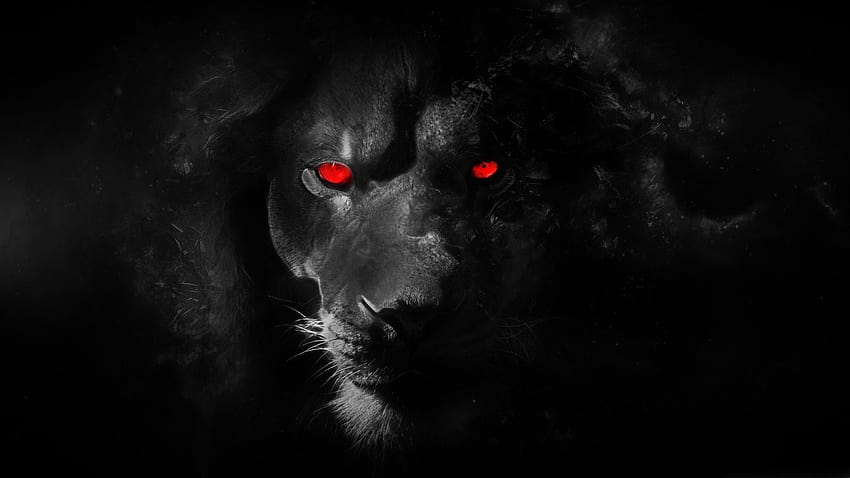 Czarny wilk z czerwonymi oczami ...słodki, czerwono-czarny wilk Tapeta HD