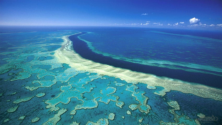 Grande Barreira de Corais Iphone, a grande barreira de corais papel de parede HD