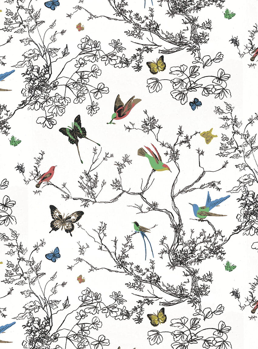 Schumacher Exuberant Prints Birds & Butterflies 15' L x 27, birds and butterflies HD phone wallpaper