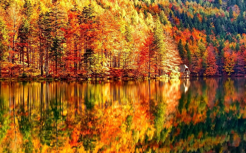 Quelques superbes paysages d'automne..., hojas y paisajes otoñales fondo de  pantalla | Pxfuel