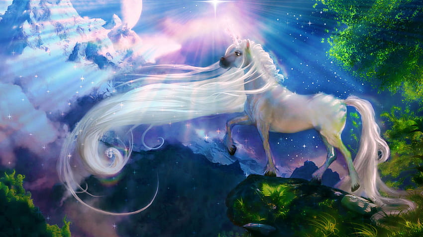 White Horse Unicorn Fantasy Art : 13, unicorn horse HD wallpaper