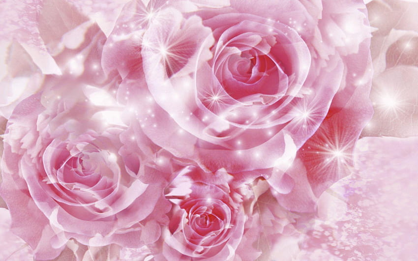 Pink Rose Hd Wallpaper Pxfuel