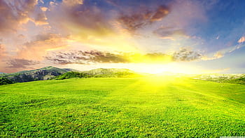 Dazzling sun HD wallpapers | Pxfuel