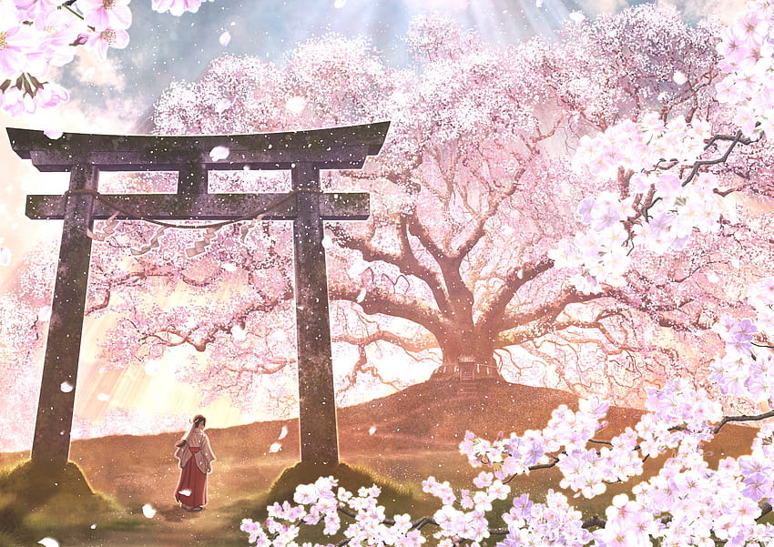 Cherry Blossom Shrine Oriental и Spring, аниме пролетен град HD тапет