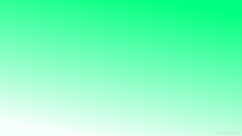 Mint Green, light green gradient HD wallpaper