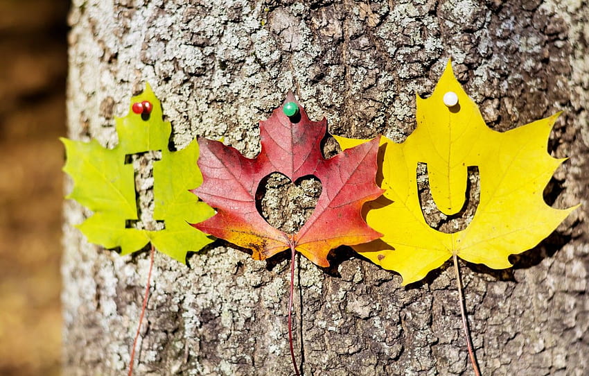 autumn, leaves, love, tree, heart, colorful, love, i love you, heart, wood, autumn, leaves, romantic, autumn, maple , section настроения, autumn love HD wallpaper