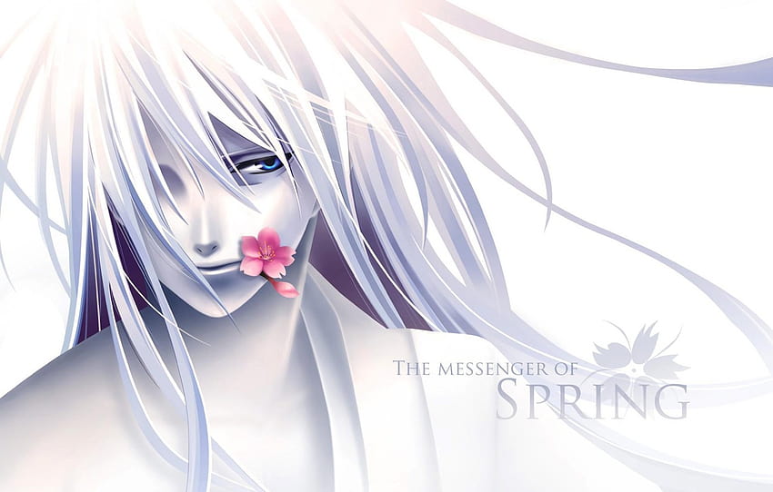 flower, anime, guy, the messenger of spring , section прочее, anime flower spring HD wallpaper