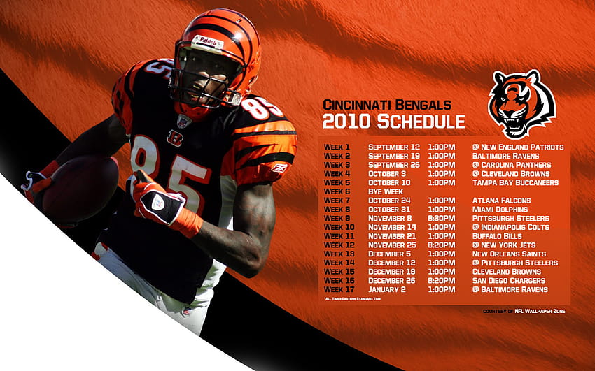 Terrell Owens and Chad Ochocinco: Why They Can't Coexist in Cincinnati HD  phone wallpaper