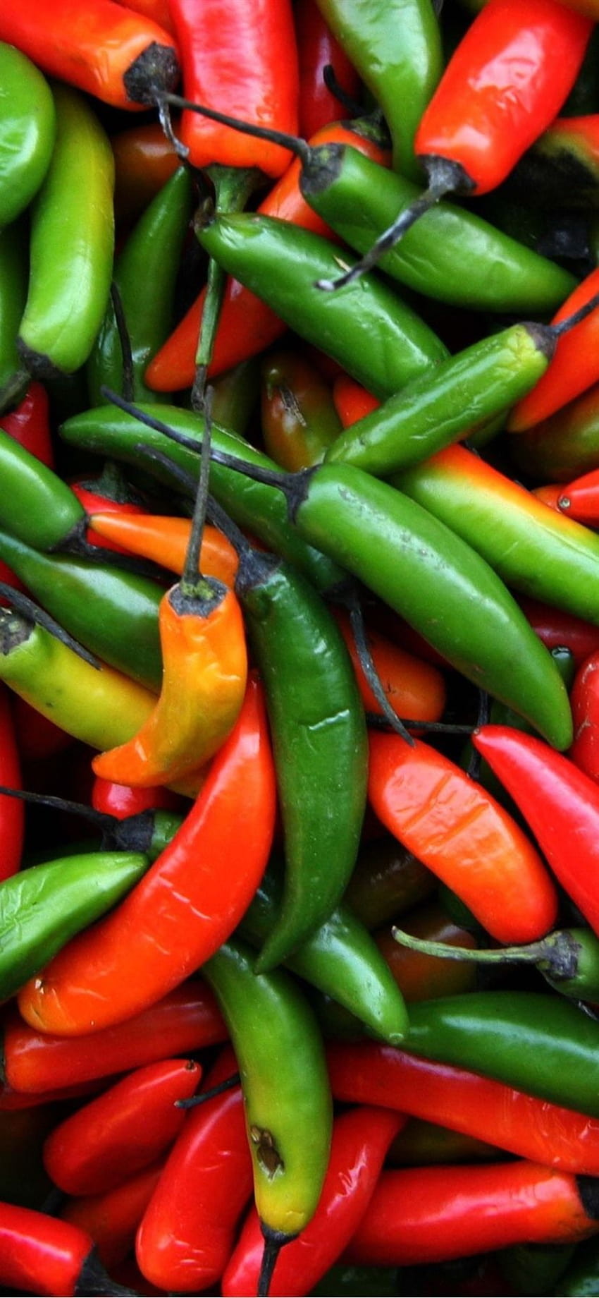 Red and green peppers, chilli, not fresh 2880x1800 , green chilli HD phone wallpaper