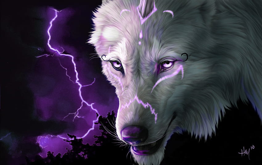 Extremely Cool Anime Wolf on Dog HD wallpaper