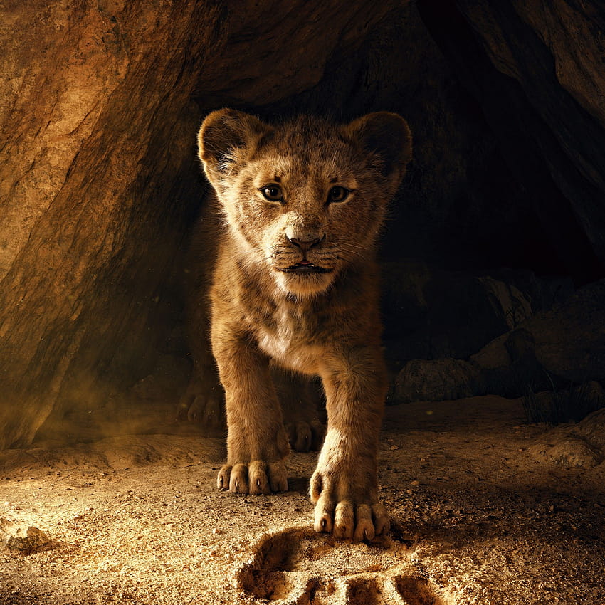 O Rei Leão , Simba, Filhote de leão, Filmes Papel de parede de celular HD