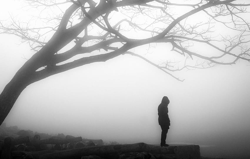 misty, tree, solitude, loneliness, branches, person, foggy gloomy day HD wallpaper