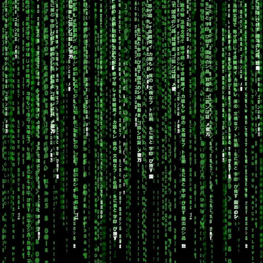 Matrix Animated × The Matrix HD тапет за телефон