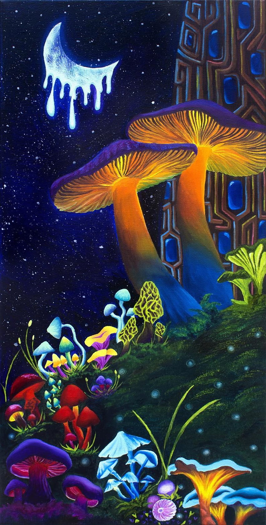 1 Trippy Mushrooms, cute mushrooms HD phone wallpaper