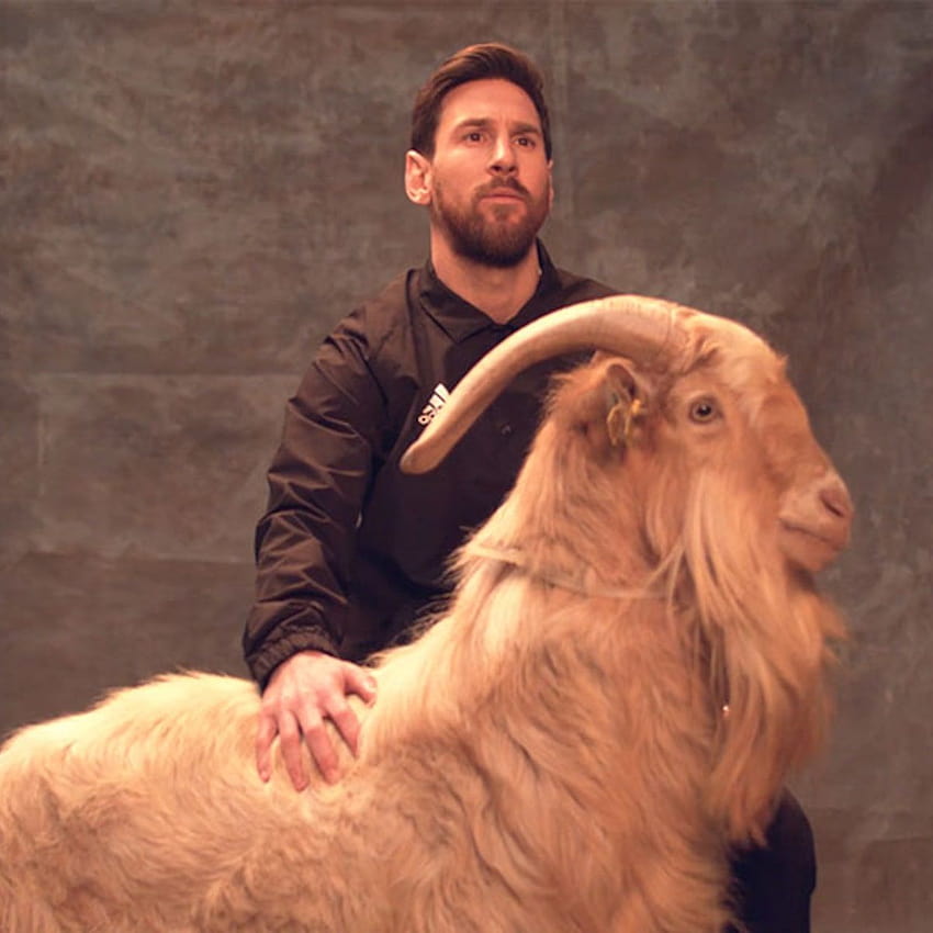 Lionel Messi posa con le capre dicendo che non è la CAPRA, capra lionel messi 2020 Sfondo del telefono HD