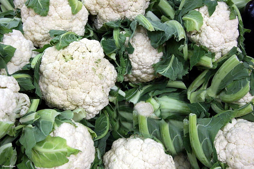 Vegetable, cauliflower HD wallpaper