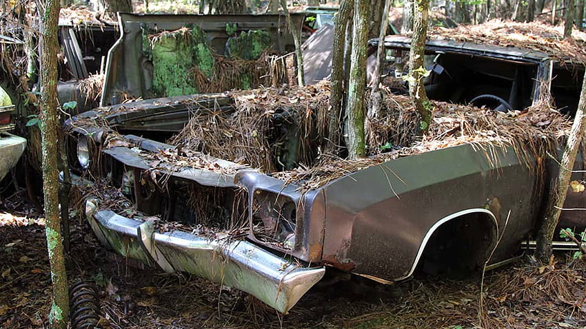 Old Car City U.S.A. Is Part Graveyard, Part Playground for Fans of Abandoned Classic Cars, car graveyard HD wallpaper