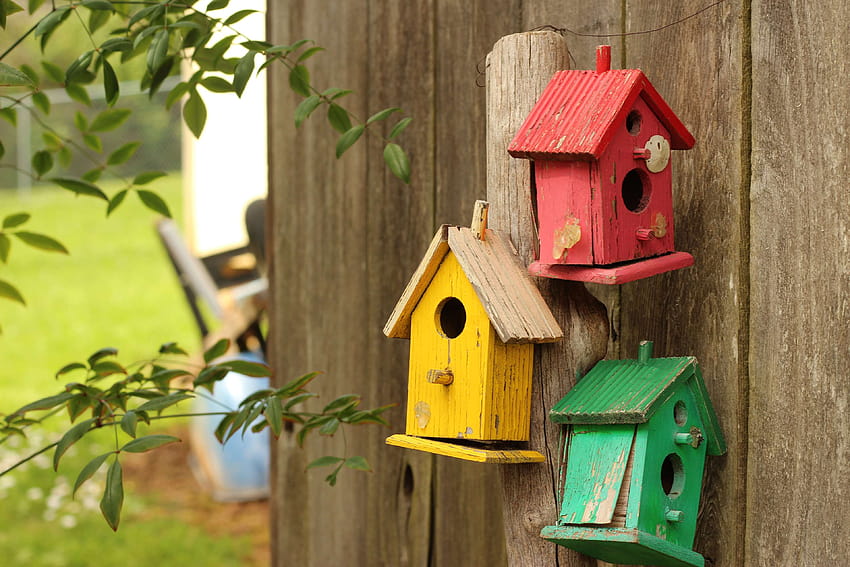 3092789 bird house, birdhouse, fence and backgrounds, birds on a fence HD wallpaper