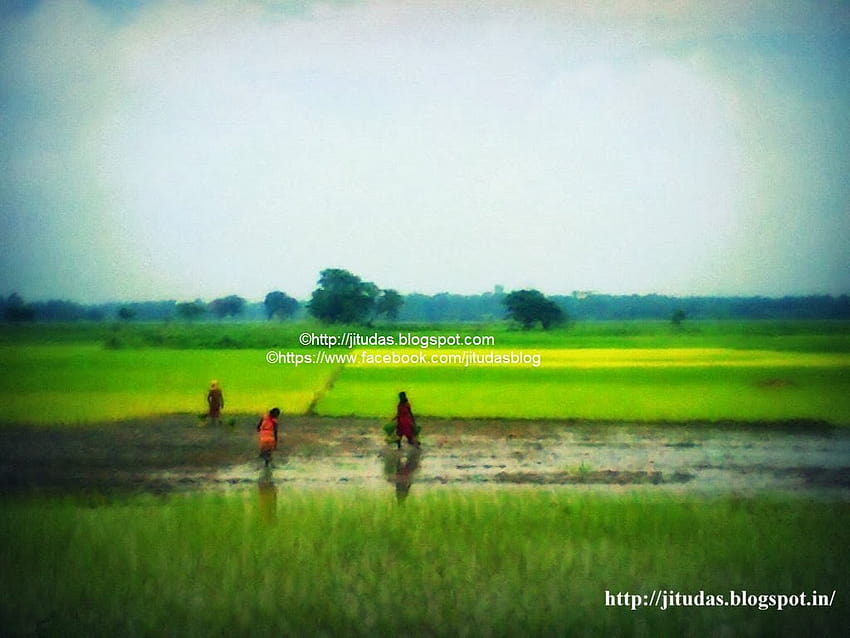 JItu Dass Blog: Mein wunderschönes Mutterland Assam, Indien HD-Hintergrundbild