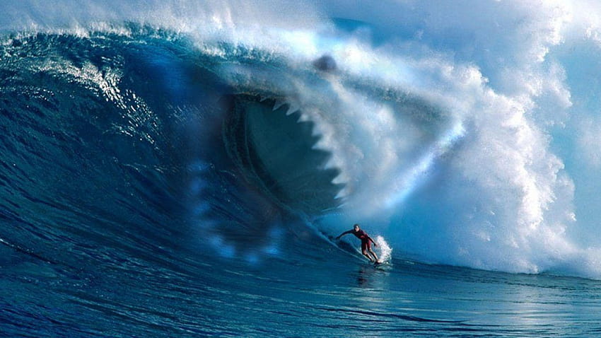 Beach: Dead Behinde Water Shark Surf Beach, surfing tumblr iphone HD wallpaper