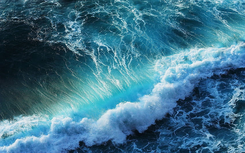 Rock by the sea, ocean ramsey HD wallpaper