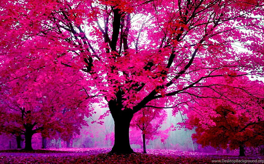 Anime trees pink HD wallpaper | Pxfuel