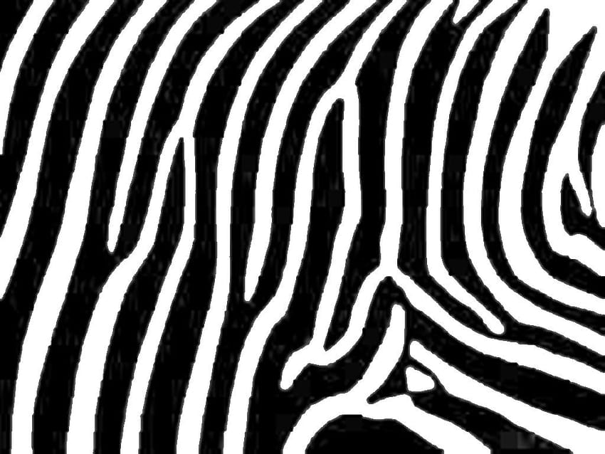 Zebra Backgrounds, zebra pattern HD wallpaper