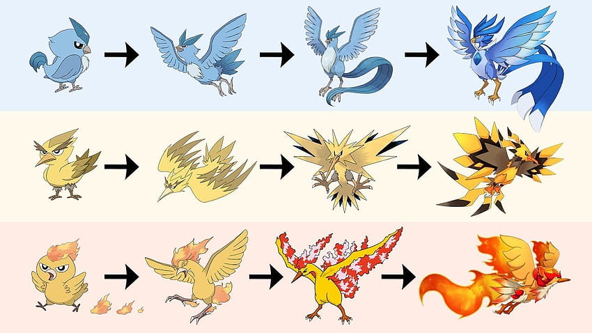 All Legendary Birds Evolution, legendary bird pokemon HD wallpaper