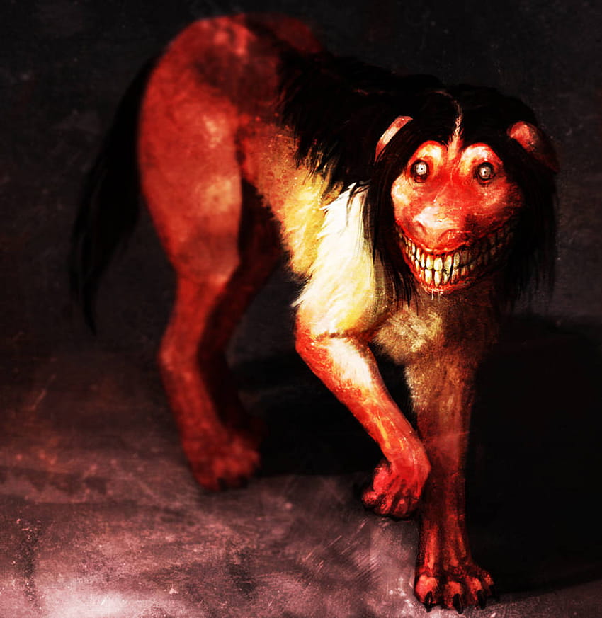 Smile Dog oleh Snook, anjing creepypasta menakutkan wallpaper ponsel HD