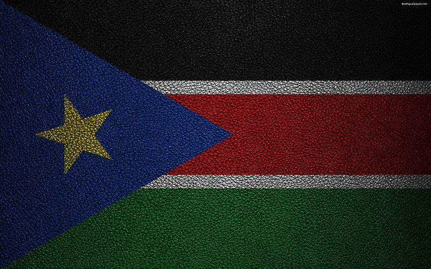 Flag of South Sudan, Africa, leather texture, south sudan flag HD wallpaper