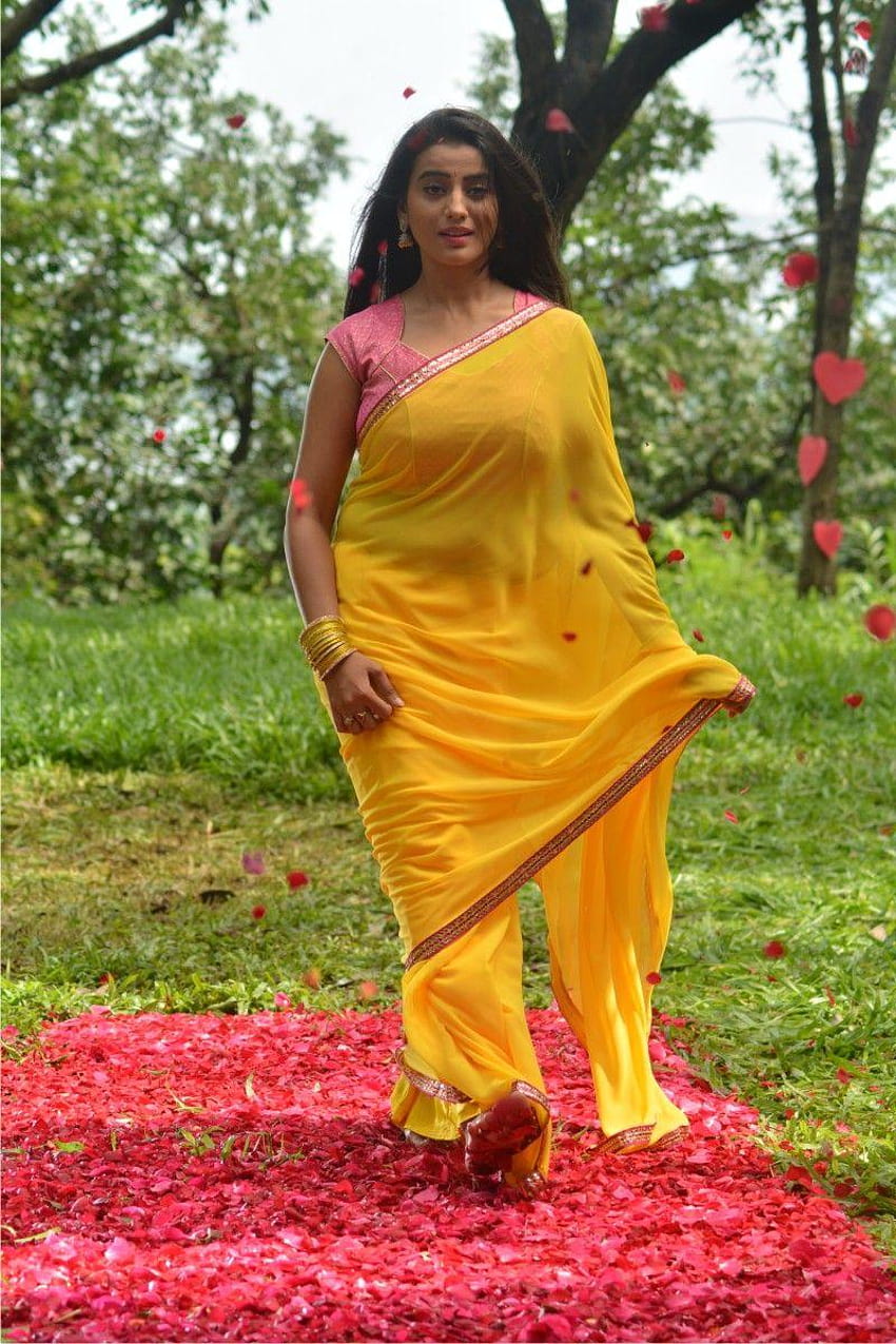 Bhojpuri Schauspielerin Akshara Singh Pics HD-Handy-Hintergrundbild