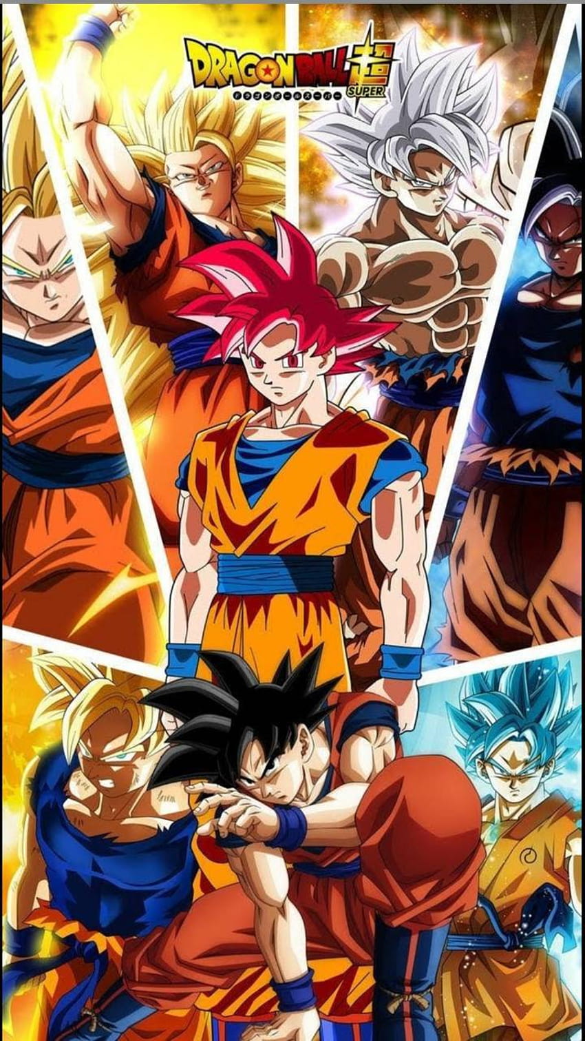 Goku All Forms posted by Ethan Tremblay, goku in every form HD phone ...