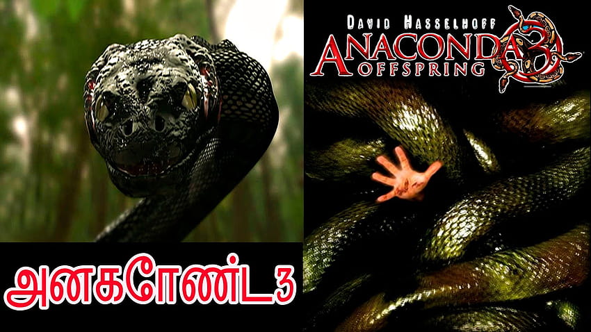 Anaconda 3 Movie Posters HD wallpaper