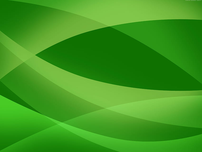 Fundos verdes, hijau de fundo de alta resolução papel de parede HD