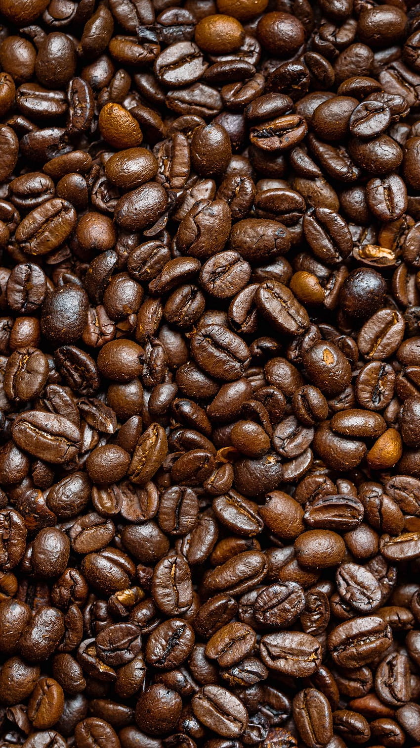 graphy Coffee Beans HD phone wallpaper